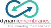 Dynamic Membranes